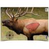 Elk