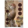 SQUIRREL 8PK