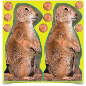 image:imageBIRCHWOOD CASEY ShootNC 12 Prairie Chuck Reactive Targets  Highly Visible Instant Feedback SelfAdhesive Shooting Target Stickers  12 Targets amp 48 Repair Pasters