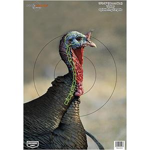 image:imageBirchwood Casey Pregame 12 x 18 Paper Shooting TargetsTurkey